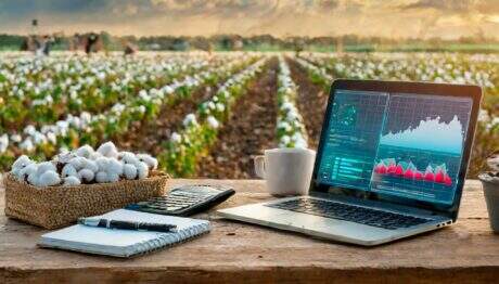 O que é e como calcular os custos de produção no agronegócio